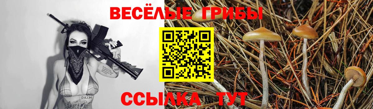 Псилоцибиновые грибы MAGIC MUSHROOMS  Псилоцибиновые грибы прущие грибы  цены   Вход с VPN  Кузнецк 